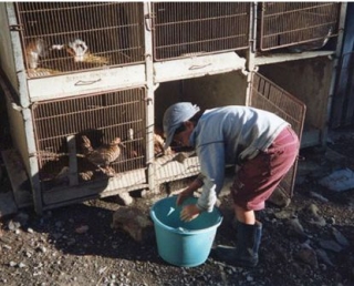  Estancia en la naturaleza para niños 